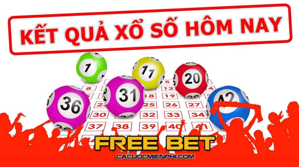 Gà chọi cấp Go99 có những ưu điểm gì thu hút người chơi? - Go99
